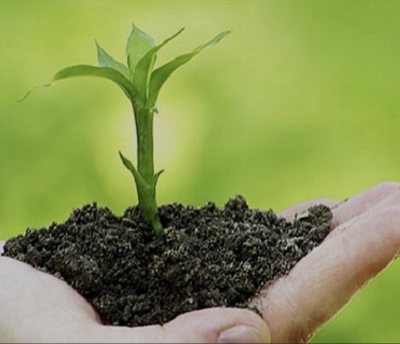 خدمات کشاورزی