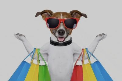 پت شاپ و حیوانات خانگی